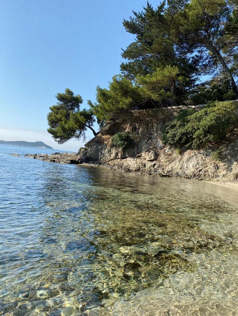 Haut De Villa Entre Mer Et Campagne Hyères Zewnętrze zdjęcie